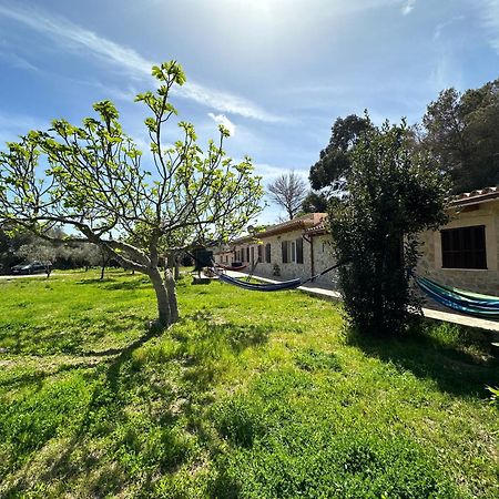 Finca Roberto Villa Can Picafort  Dış mekan fotoğraf