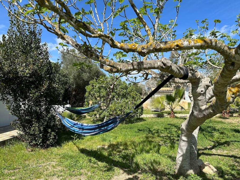 Finca Roberto Villa Can Picafort  Dış mekan fotoğraf