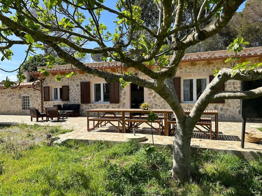 Finca Roberto Villa Can Picafort  Dış mekan fotoğraf
