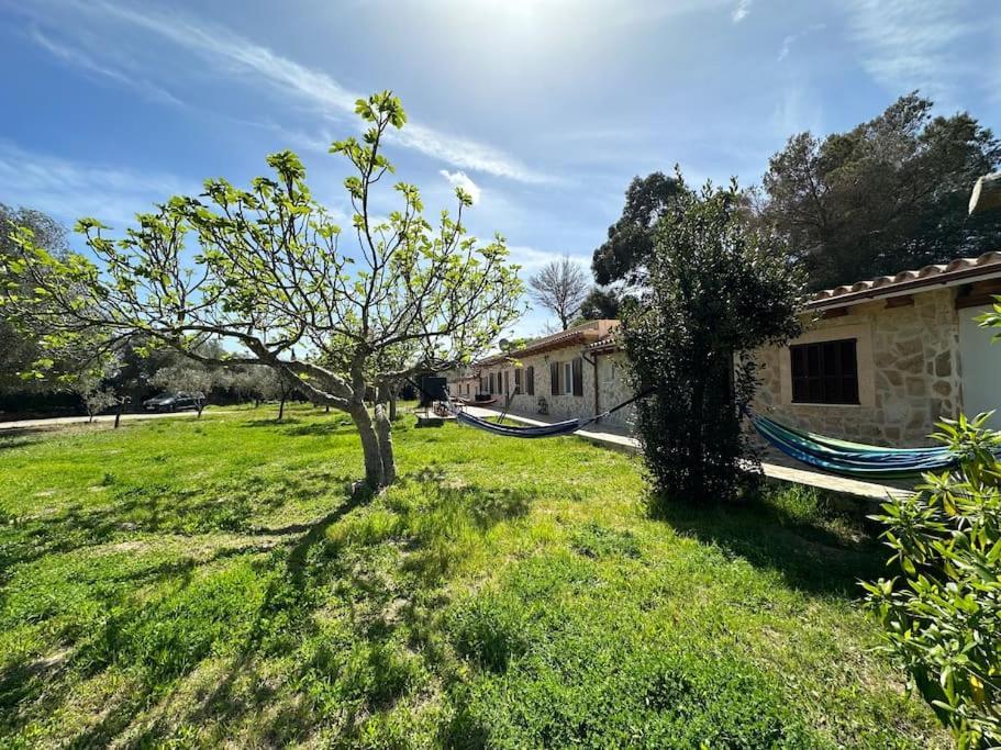 Finca Roberto Villa Can Picafort  Dış mekan fotoğraf