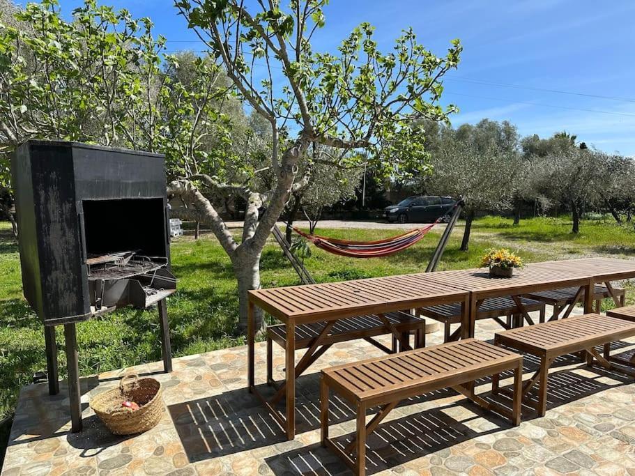 Finca Roberto Villa Can Picafort  Dış mekan fotoğraf