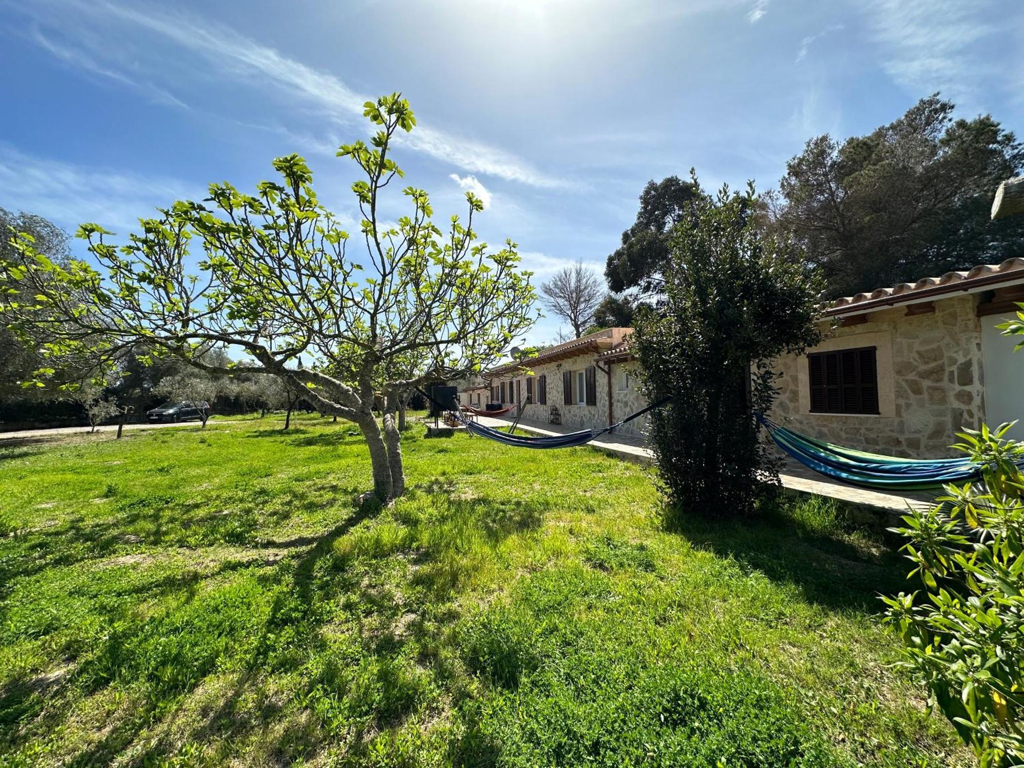 Finca Roberto Villa Can Picafort  Dış mekan fotoğraf