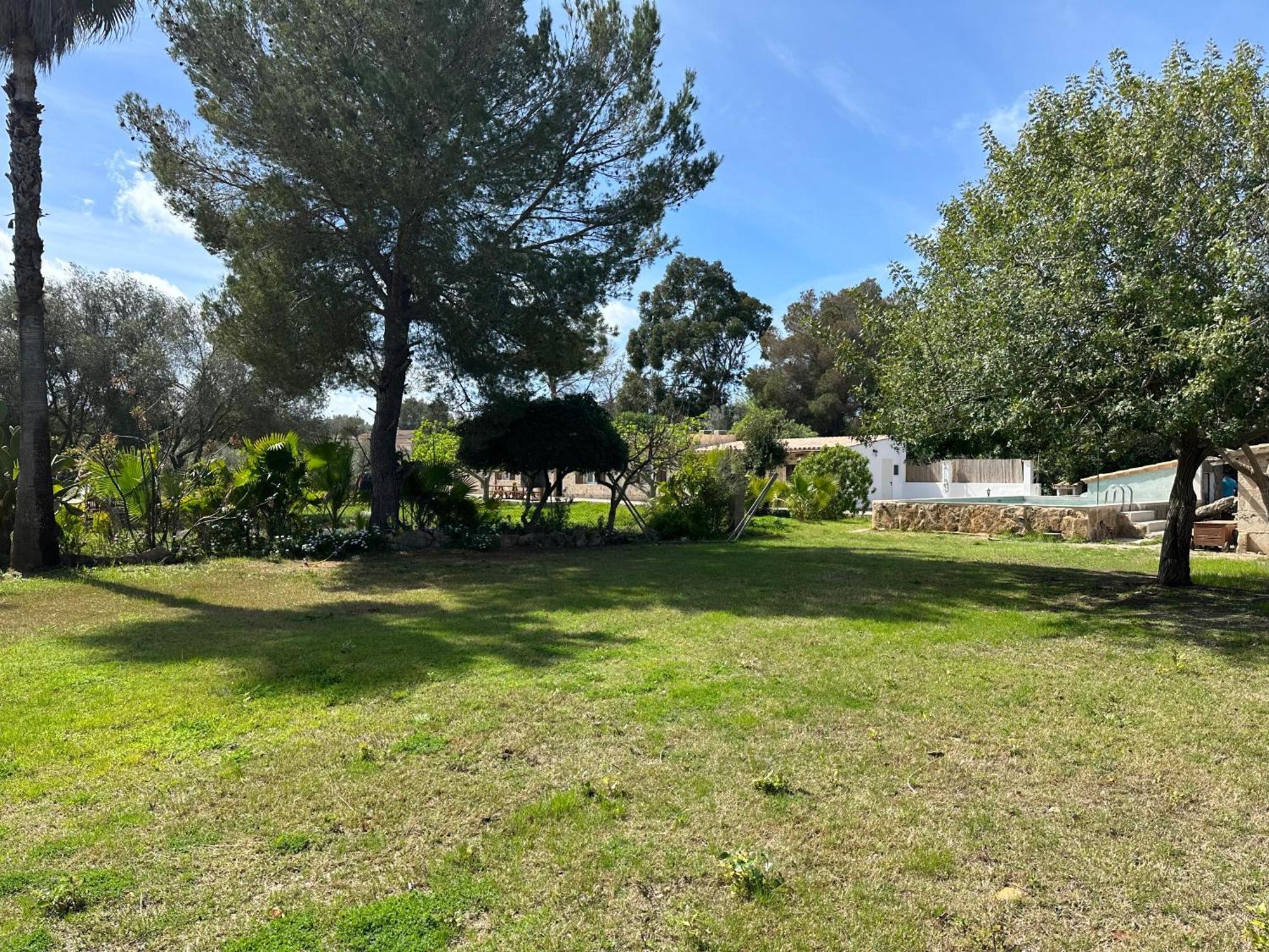 Finca Roberto Villa Can Picafort  Dış mekan fotoğraf