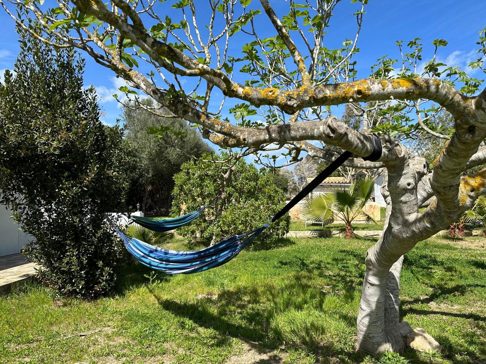 Finca Roberto Villa Can Picafort  Dış mekan fotoğraf
