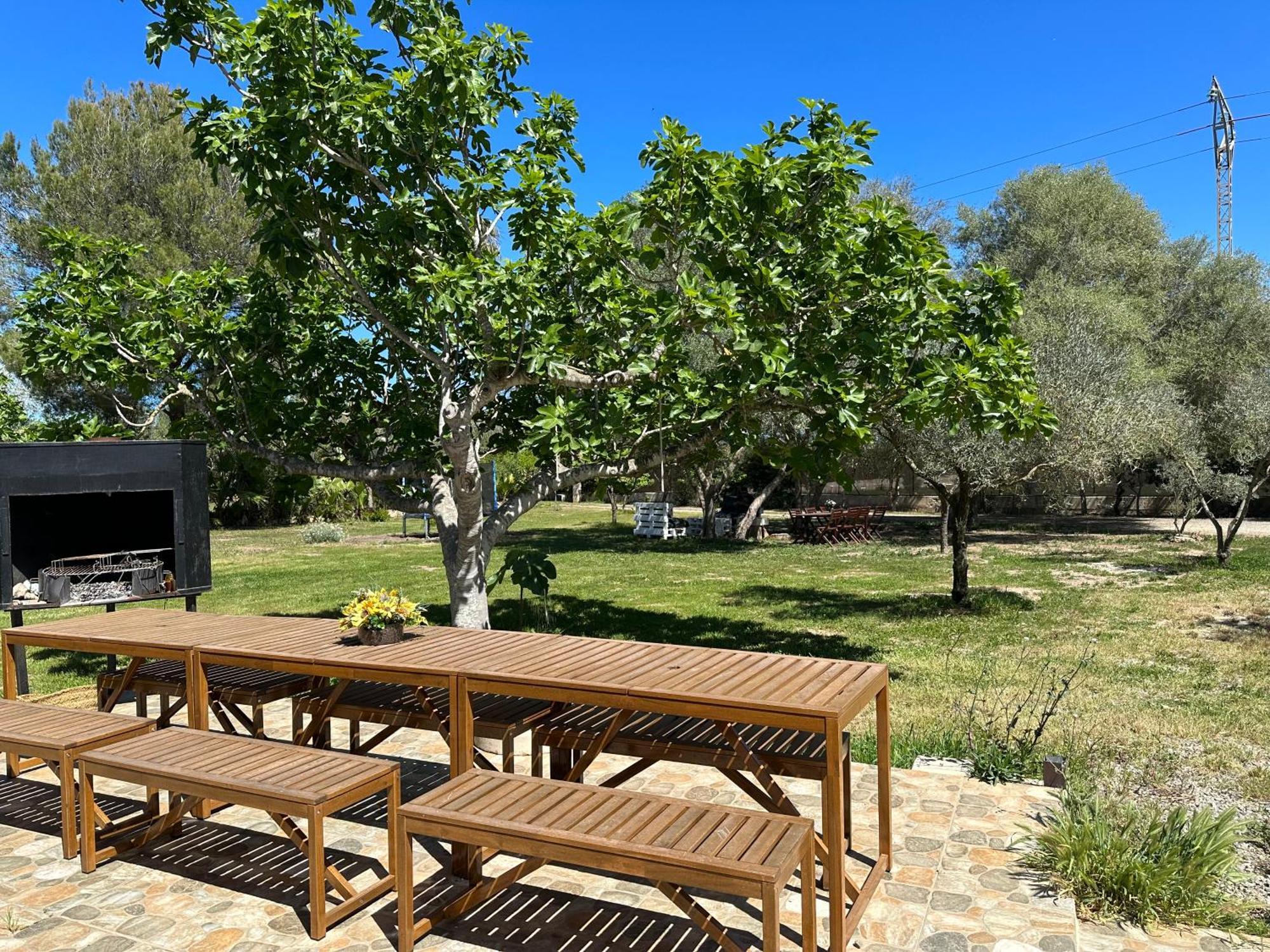 Finca Roberto Villa Can Picafort  Dış mekan fotoğraf